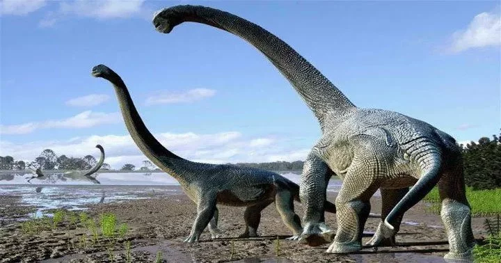 Träumen von einem Dinosaurier 44