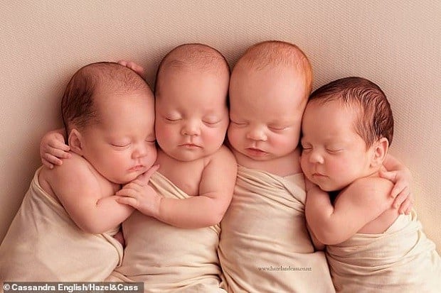 Dreaming of Quadruplets 15