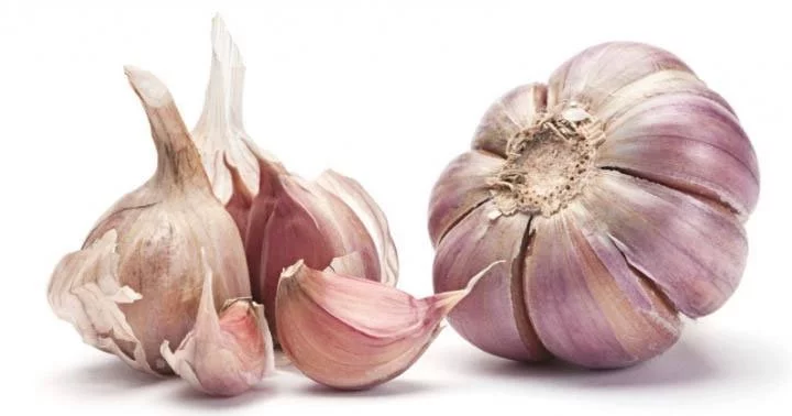 Dreaming of garlic 1