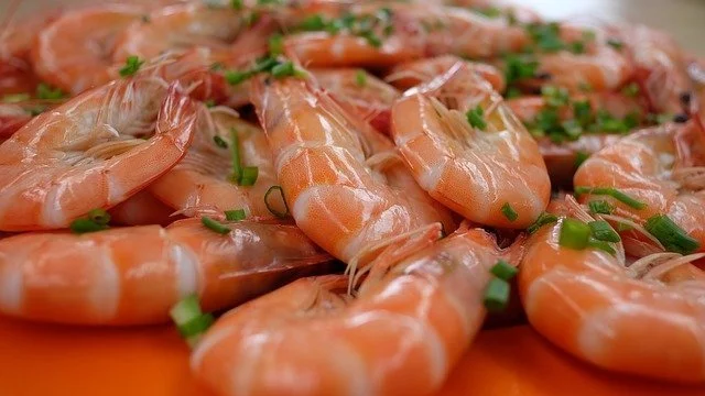 Dreaming of shrimp 33