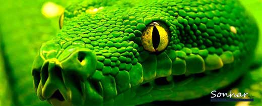  green snake